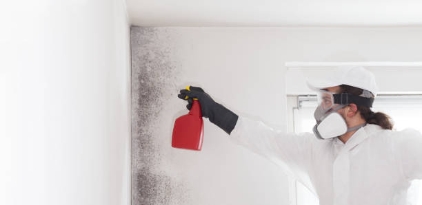 Best Commercial Mold Removal  in Centre Hall, PA