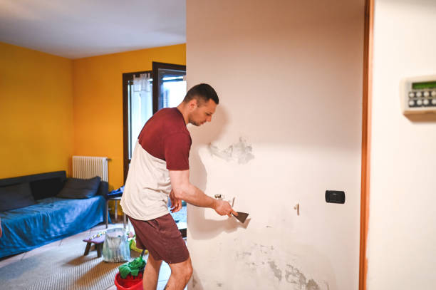 Best Residential Mold Removal  in Centre Hall, PA